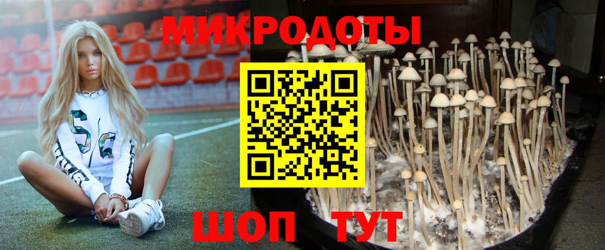 Галлюциногенные грибы Cubensis Заводоуковск