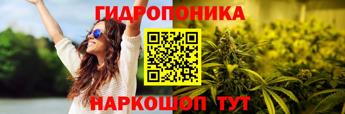 Конопля конопля Заводоуковск